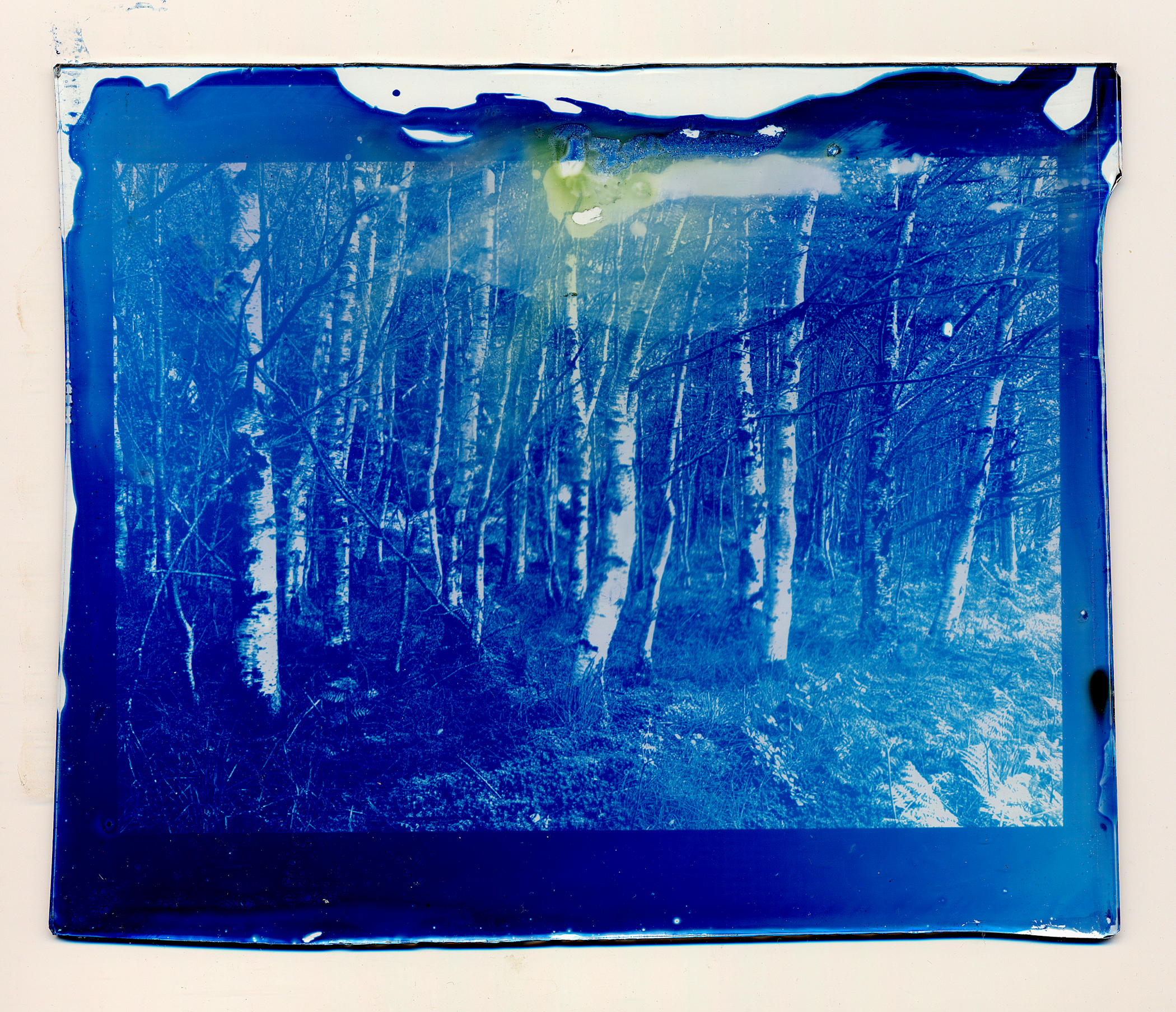 Cyanotype on Glass