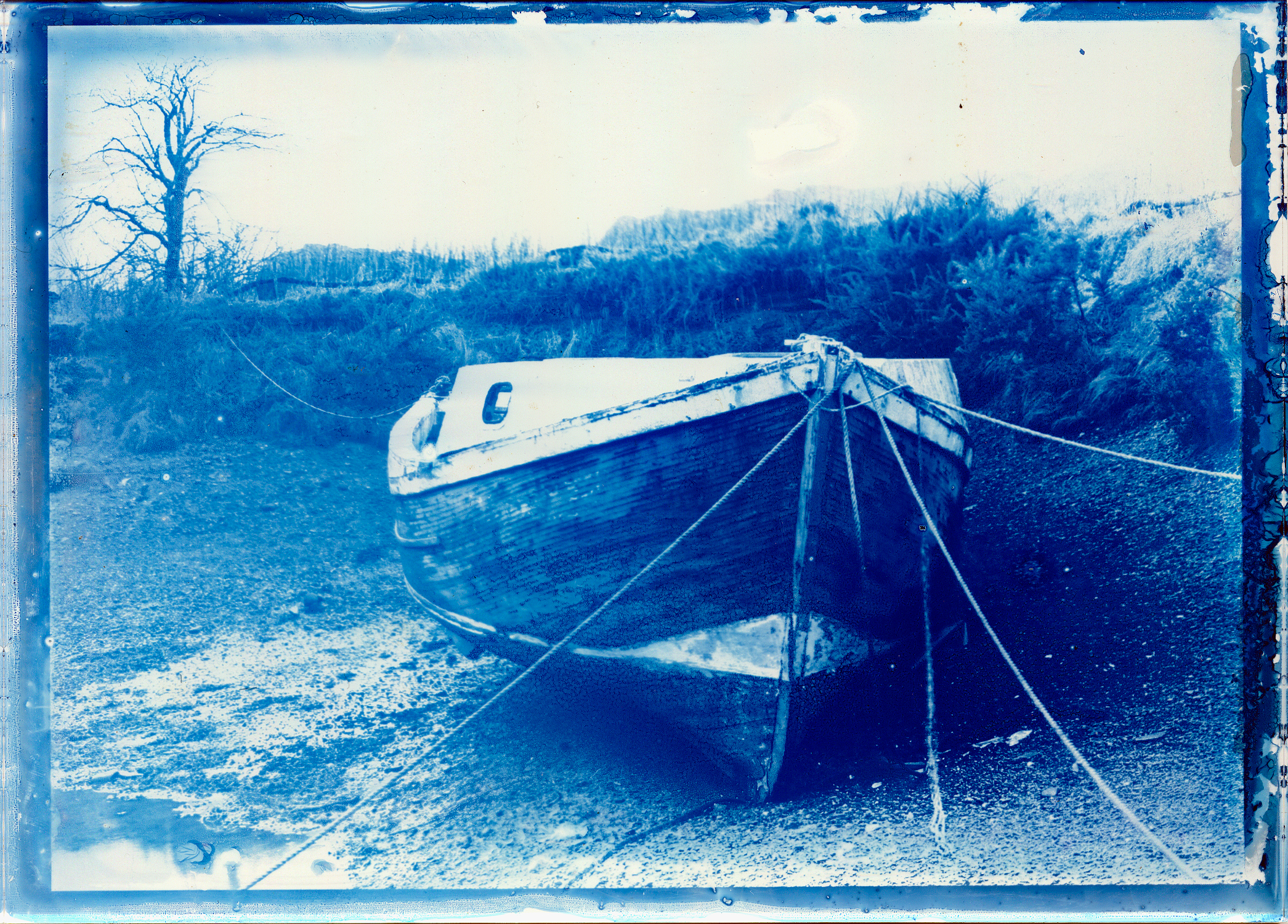 Cyanotype on Glass