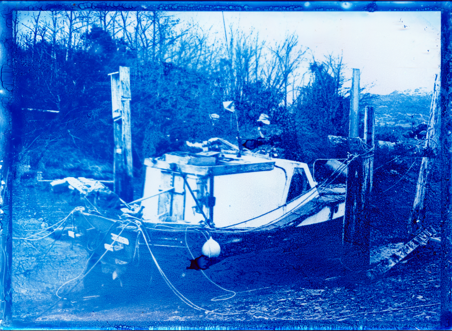 Cyanotype on Glass