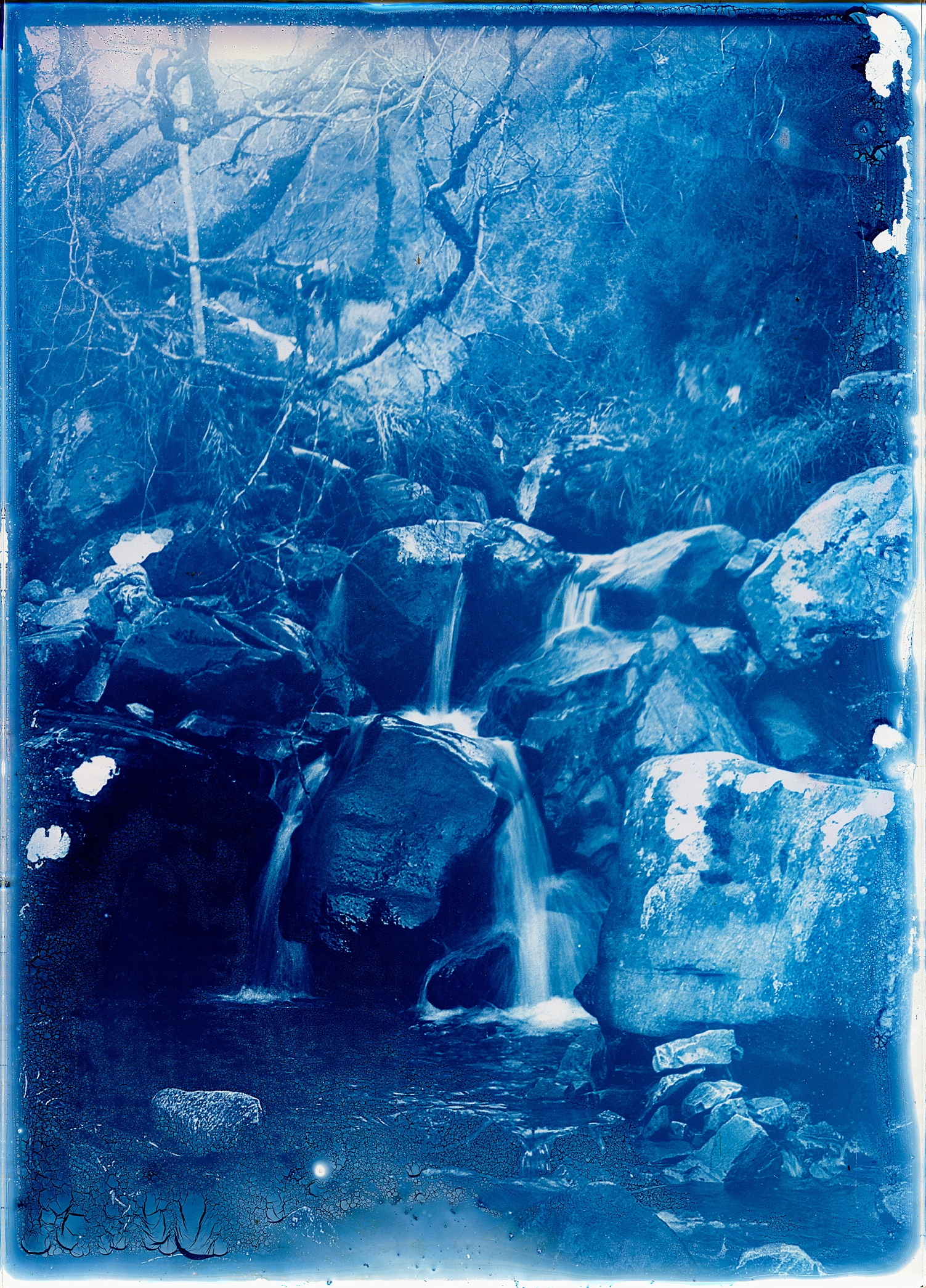 Cyanotype on Glass