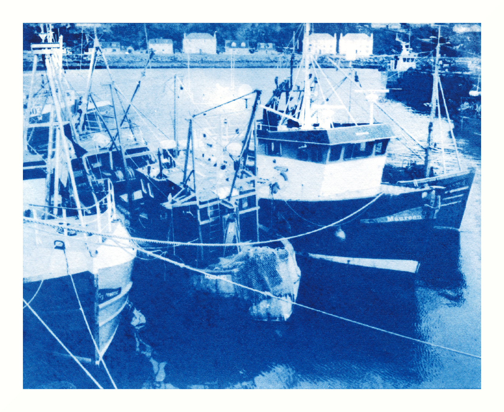 The New Cyanotype Process