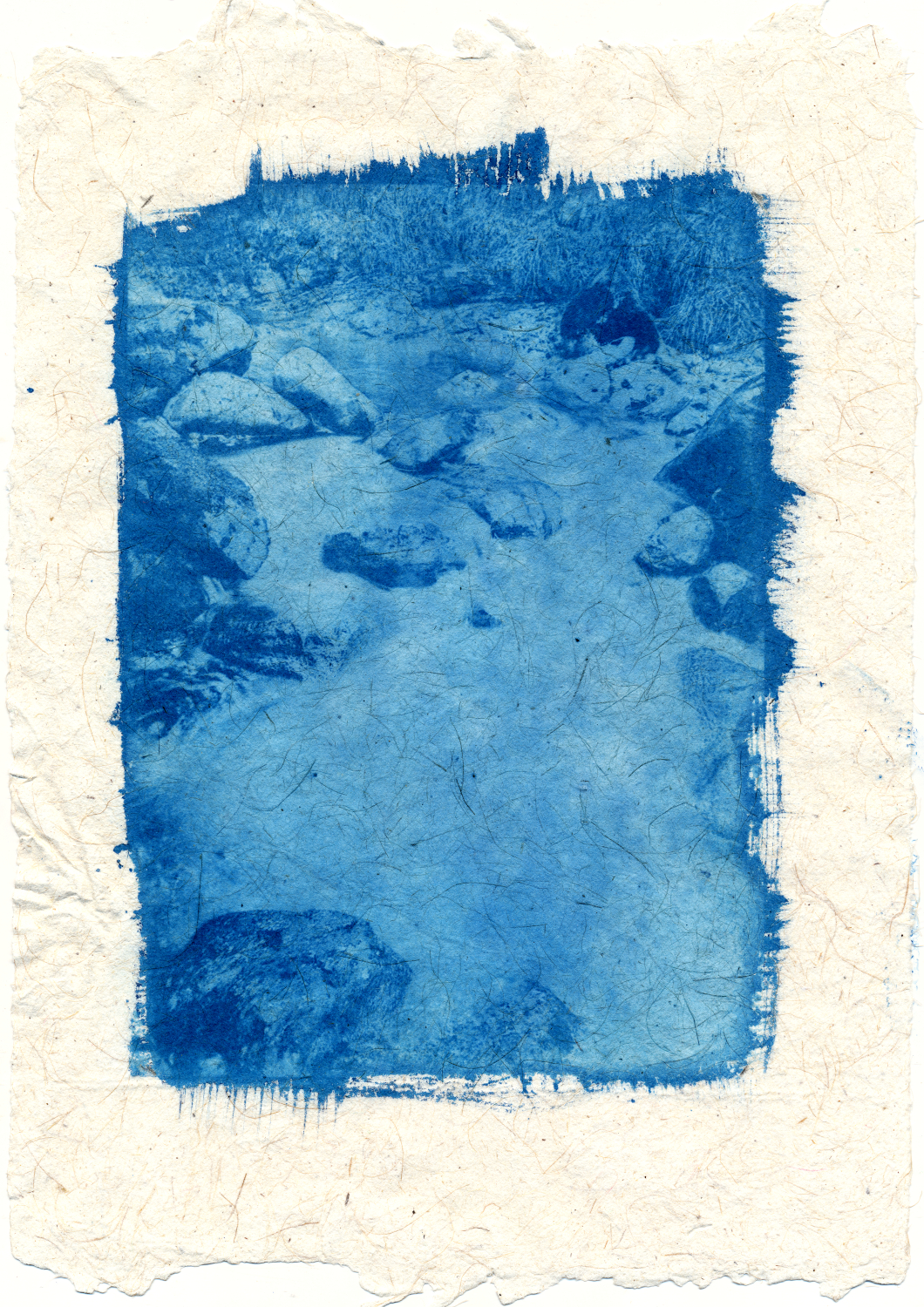 The New Cyanotype Process